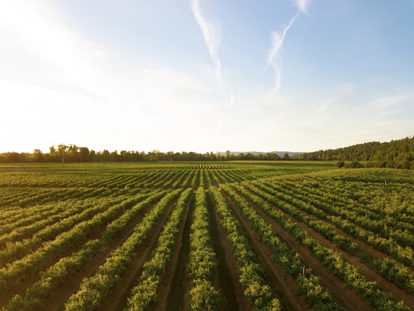 Agri Standards