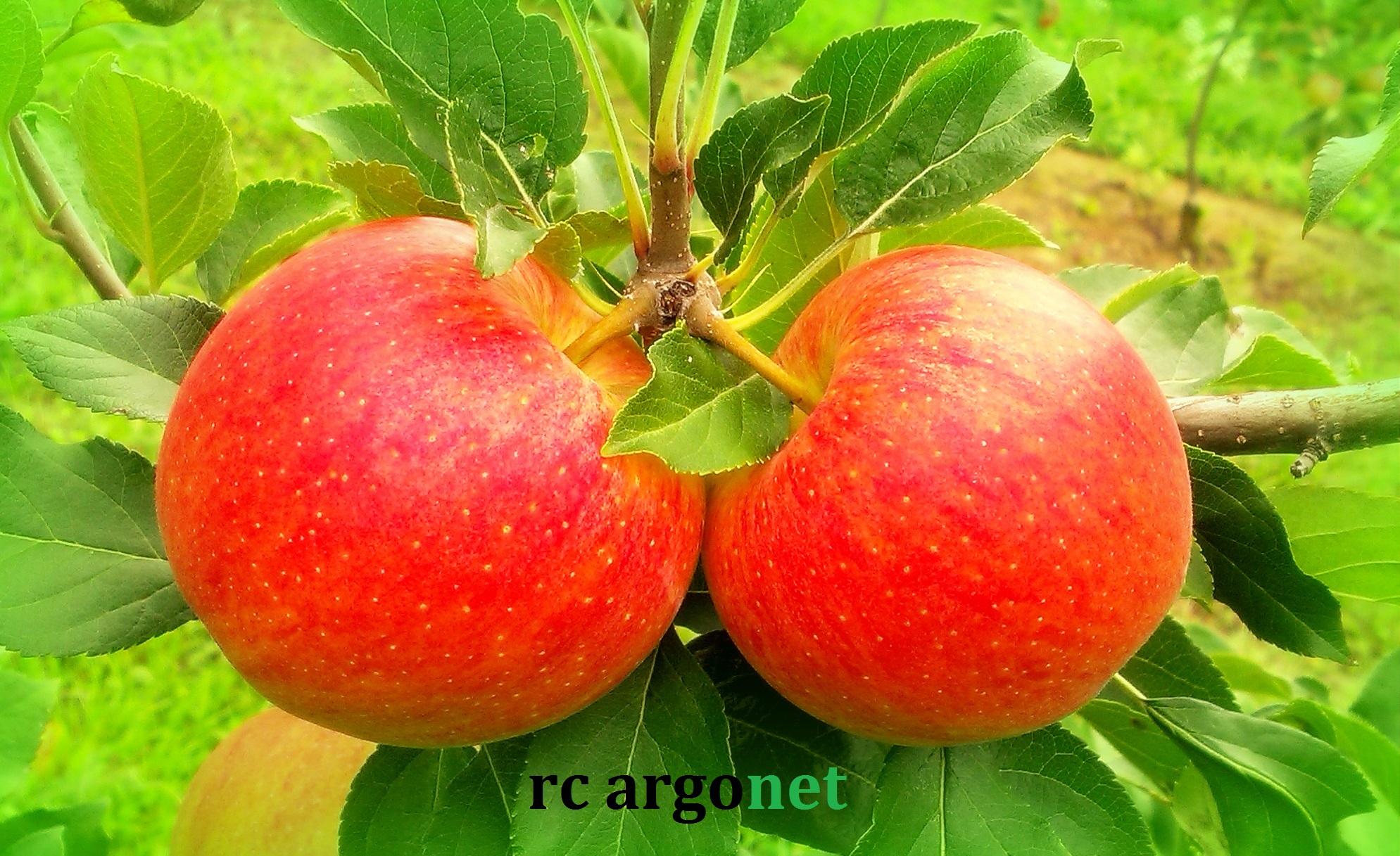 Circular Economy